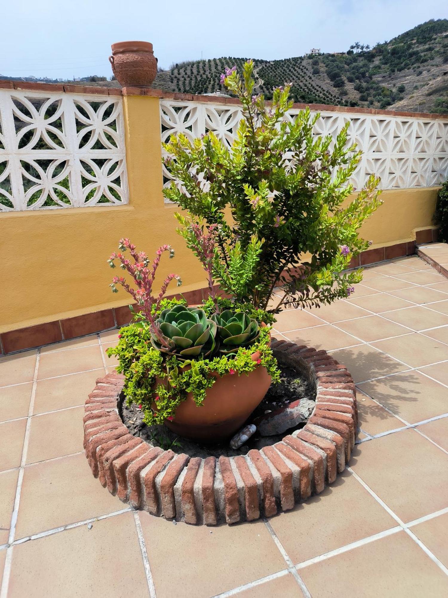 Cortijo Maria Gomez Vila Málaga Exterior foto