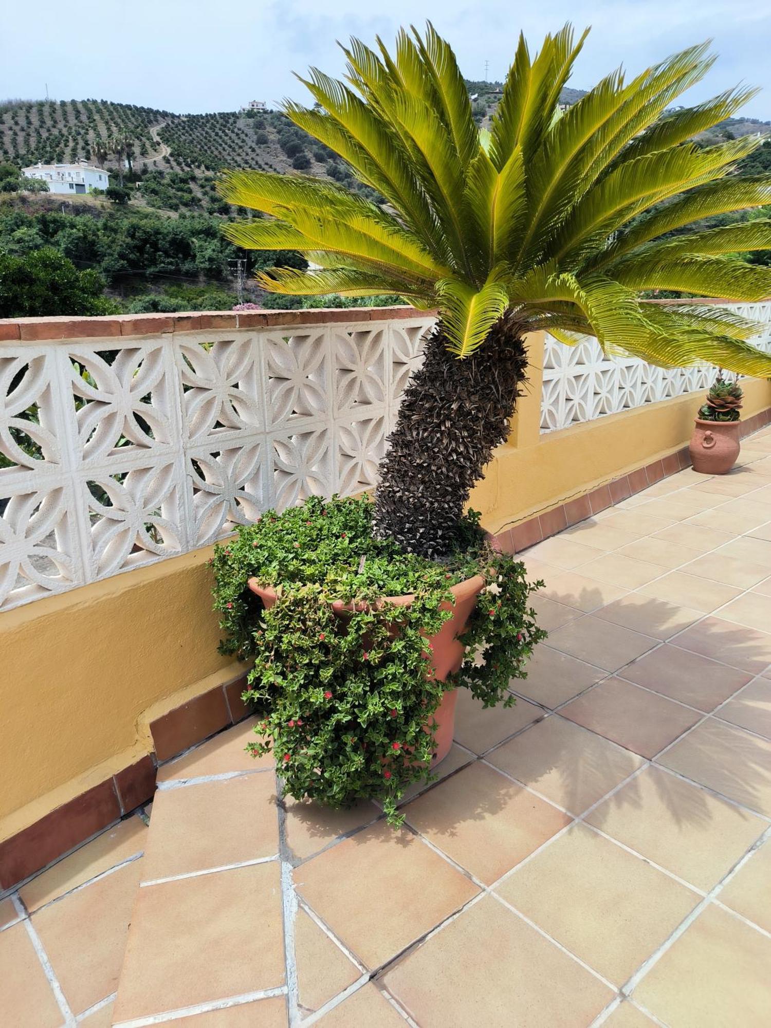 Cortijo Maria Gomez Vila Málaga Exterior foto